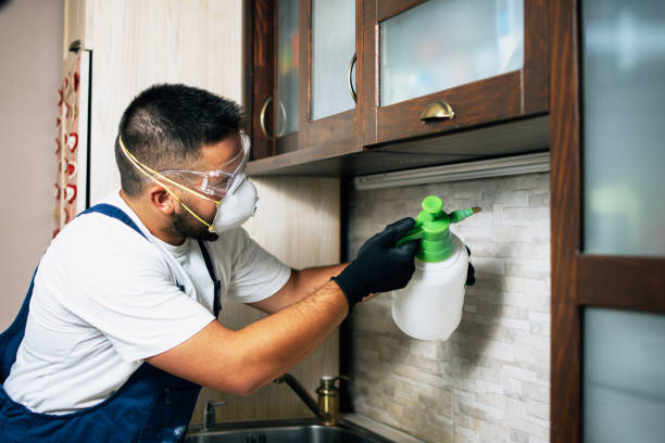 Best Affordable Exterminators  in Lyman, WY