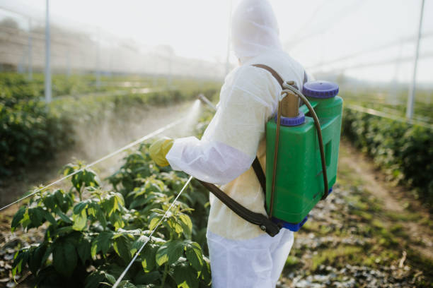 Professional Pest Control in Lyman, WY